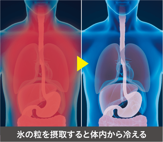 体感温度を下げ、塩分も補給できる「氷のコンソメ」